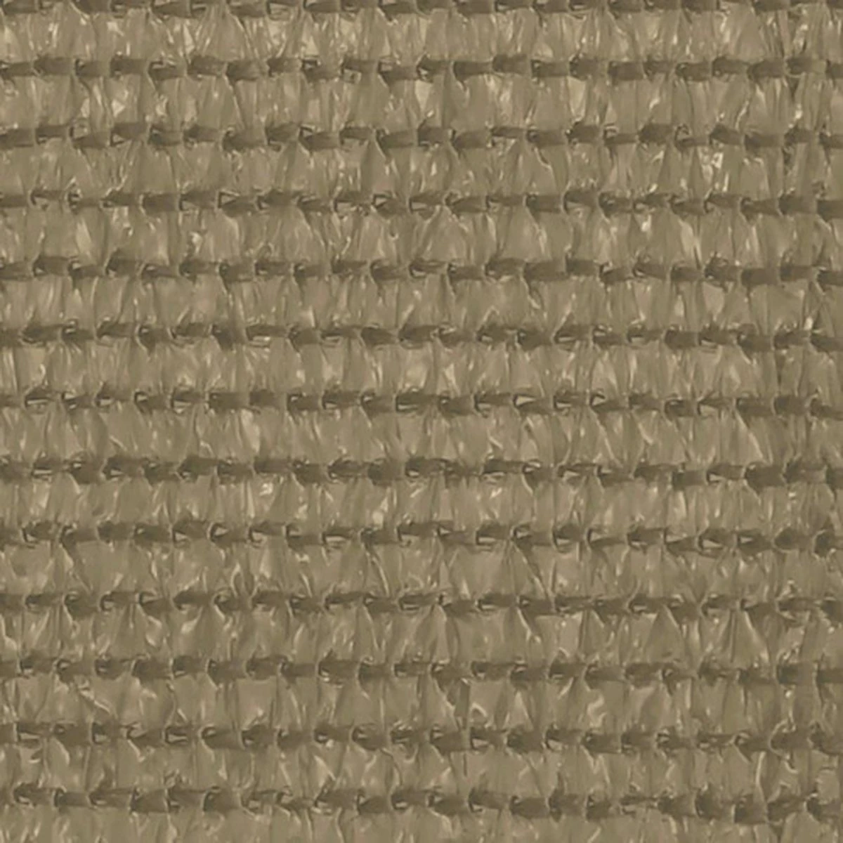 VidaXL Tenttapijt 250x500 Cm Taupe 5 VidaXL Tenttapijt 250x500 Cm Taupe - Afbeelding 3