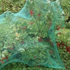 Relaxdays 200x Gronddoekpen - Grondanker - Haring - Gronddoekhaak - Grondhaken - 2mm 12 Relaxdays 200x Gronddoekpen - Grondanker - Haring - Gronddoekhaak - Grondhaken - 2mm -Campingaz winkel 1200x1200 80