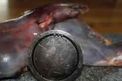 【JACHTMAGNEET / HAGELMAGNEET 】– Jacht Accessoires 2020 – Hagel Verwijderaar – Jagers Cadeau - Wild Magneet -Campingaz winkel 1200x800 67